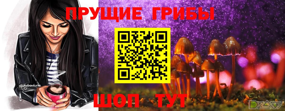 Псилоцибиновые грибы мицелий  Вход с VPN  Славянск-на-Кубани 